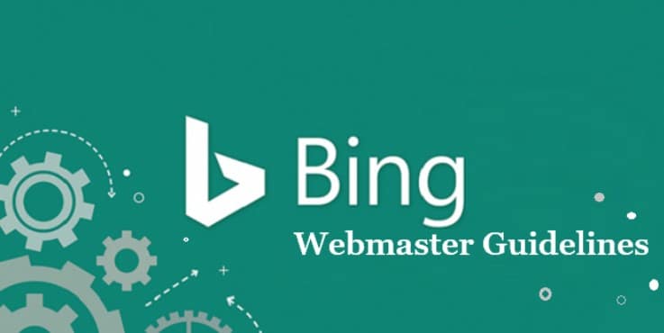 Bing Deindexing Website