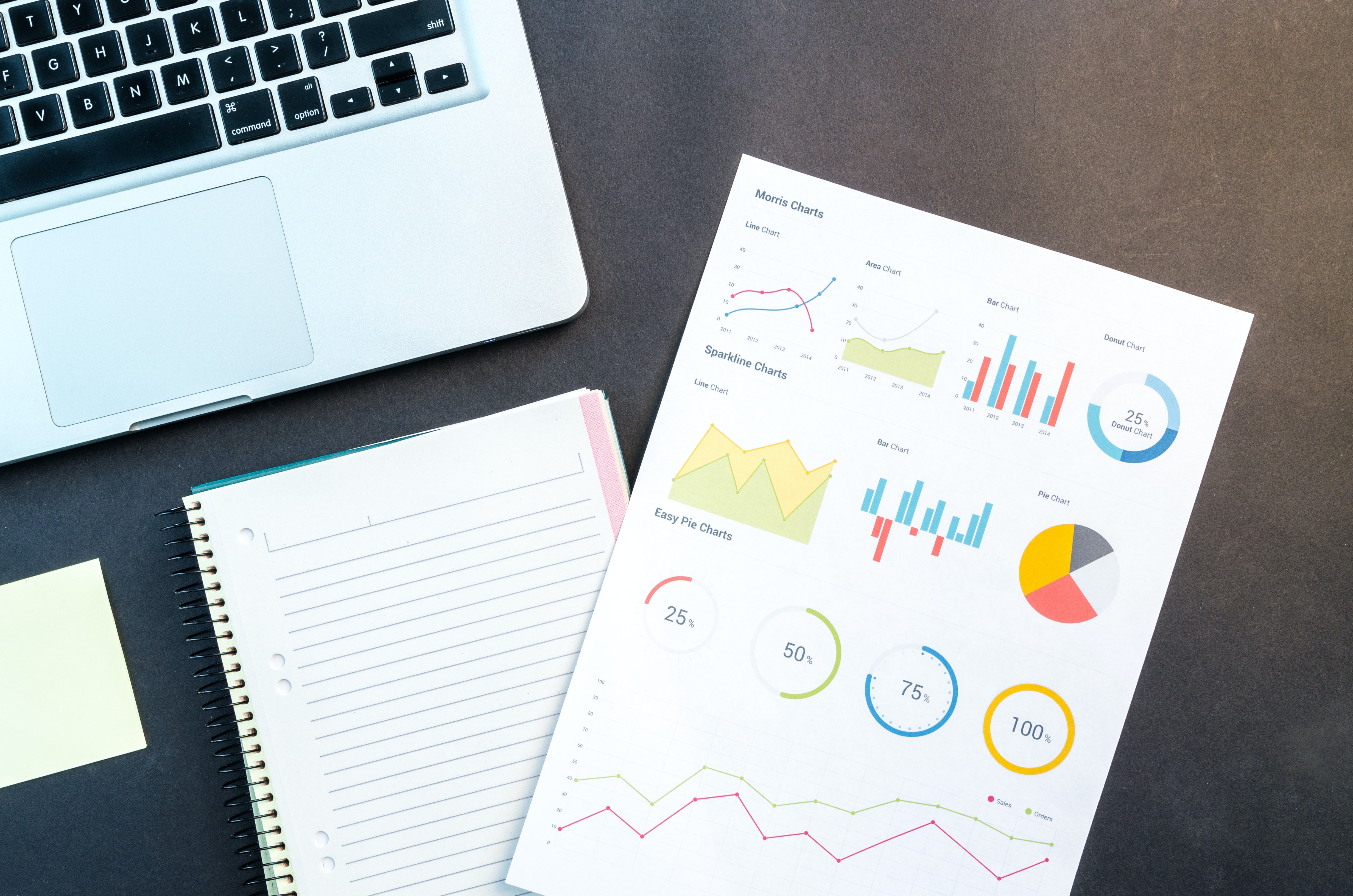 use of programming languages in data analysis